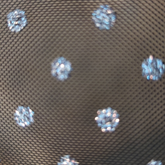 Zara Tulle Silver Dot Swiss Dress - Picture 12 of 16